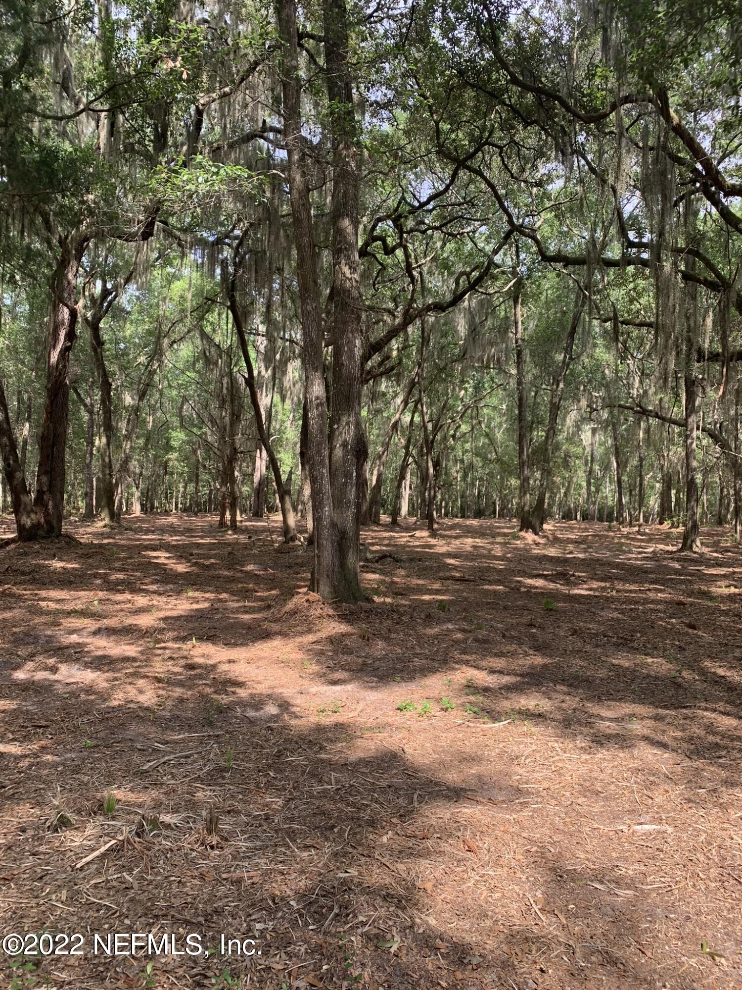 10-ac Blackrock Road Yulee, FL 32097 - Photo 8 of 23 a view of outdoor space with trees