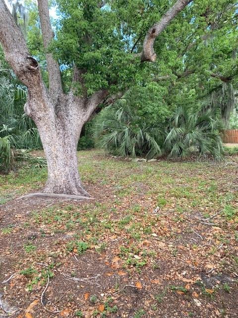 6442 Treehaven Drive Spring Hill, FL 34606 - Photo 24 of 25