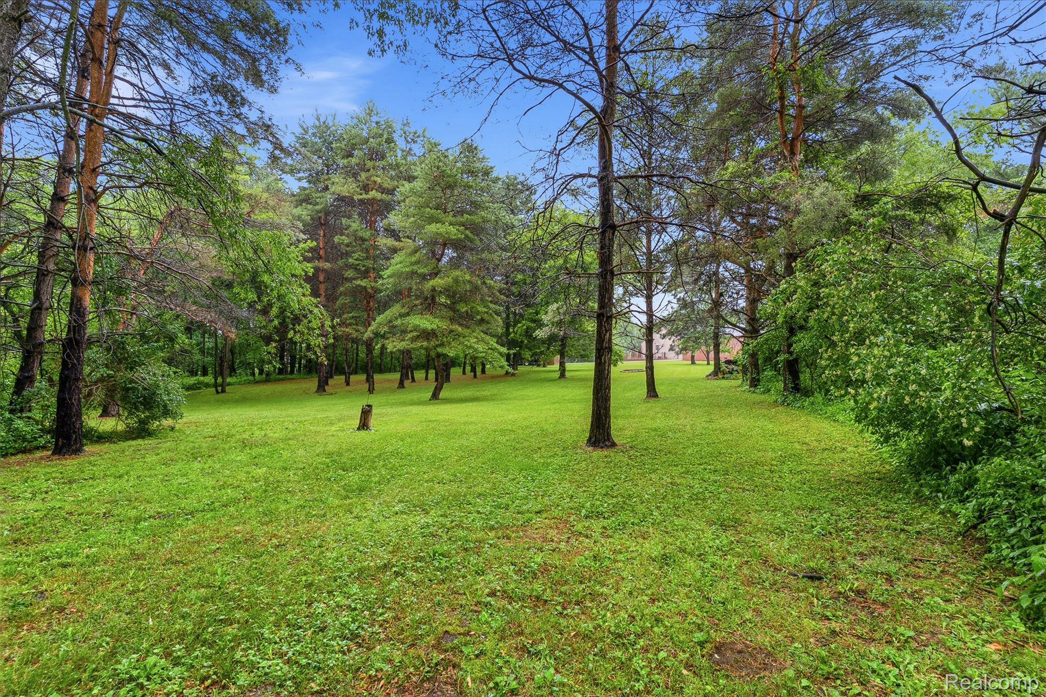 6109 North State Road Davison, MI 48423 - Photo 29 of 39 Expansive grassy grounds featuring mature trees and lush foliage