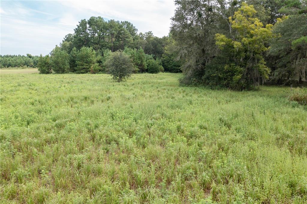 Tbd Southwest 71st Avenue Lake Butler, FL 32054 - Photo 13 of 16