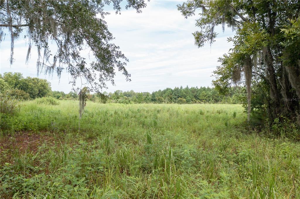 Tbd Southwest 71st Avenue Lake Butler, FL 32054 - Photo 14 of 16