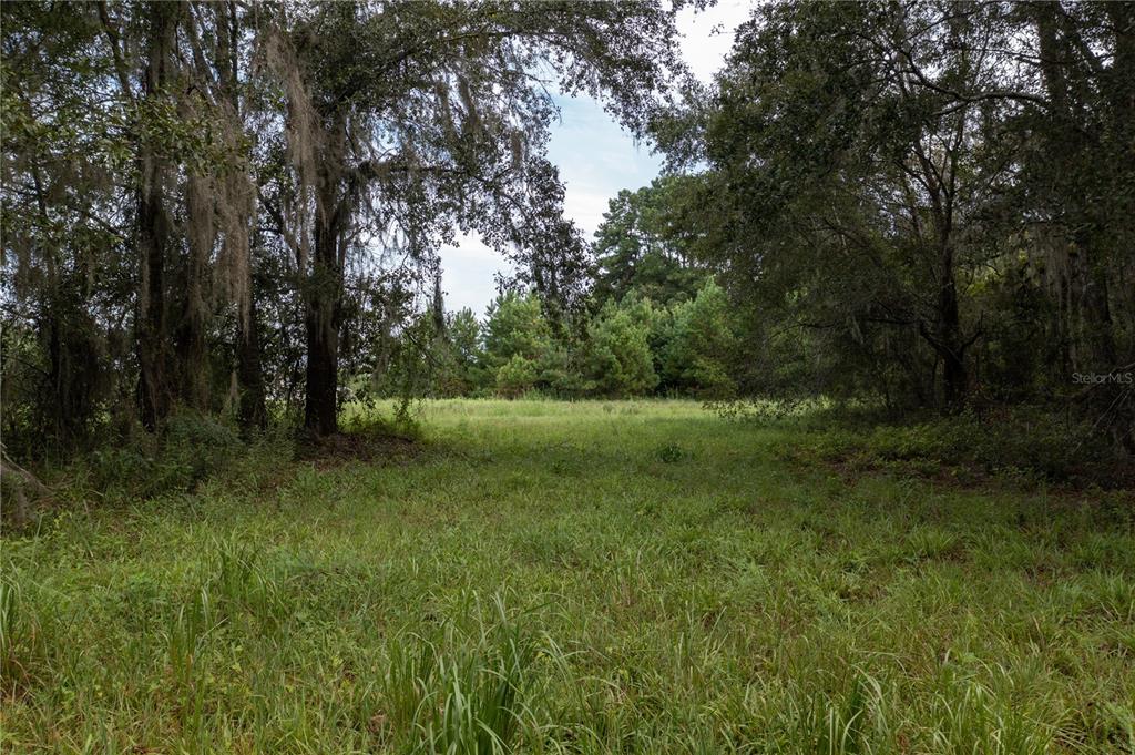 Tbd Southwest 71st Avenue Lake Butler, FL 32054 - Photo 15 of 16