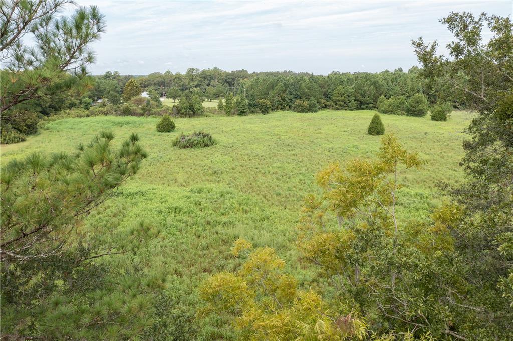Tbd Southwest 71st Avenue Lake Butler, FL 32054 - Photo 16 of 16