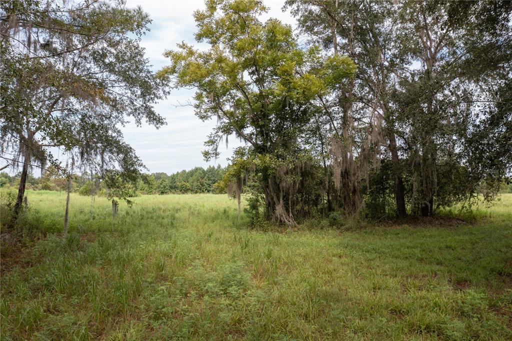 Tbd Southwest 71st Avenue Lake Butler, FL 32054 - Photo 2 of 16