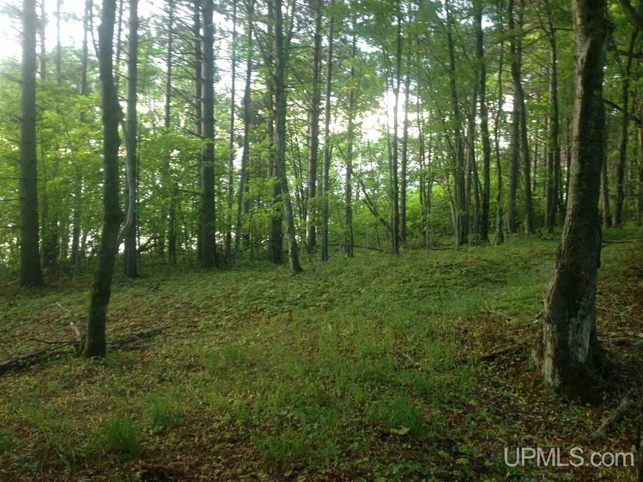 Tbd Luukkonen Camp Road Toivola, MI 49965 - Photo 8 of 19