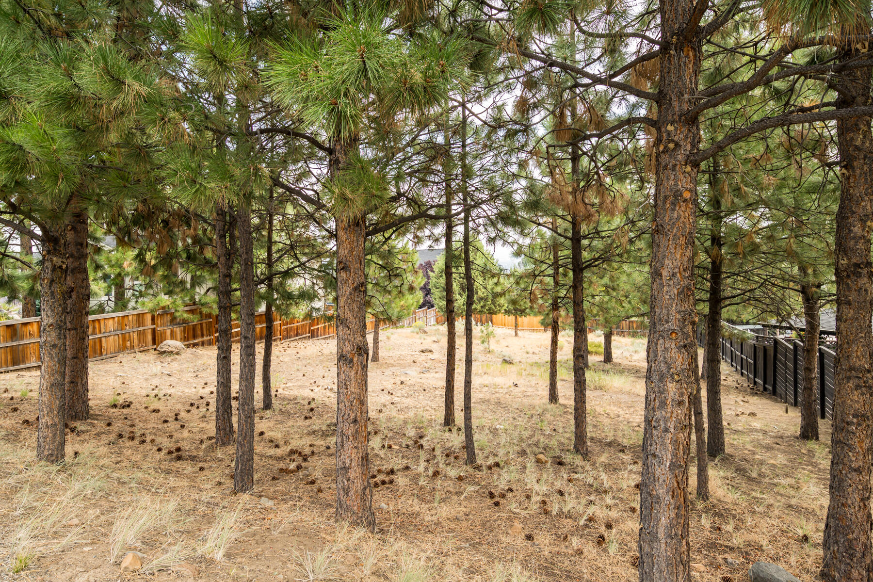 653 Northwest Powell Butte Loop Bend, OR 97703 - Photo 14 of 14 JH5_0282