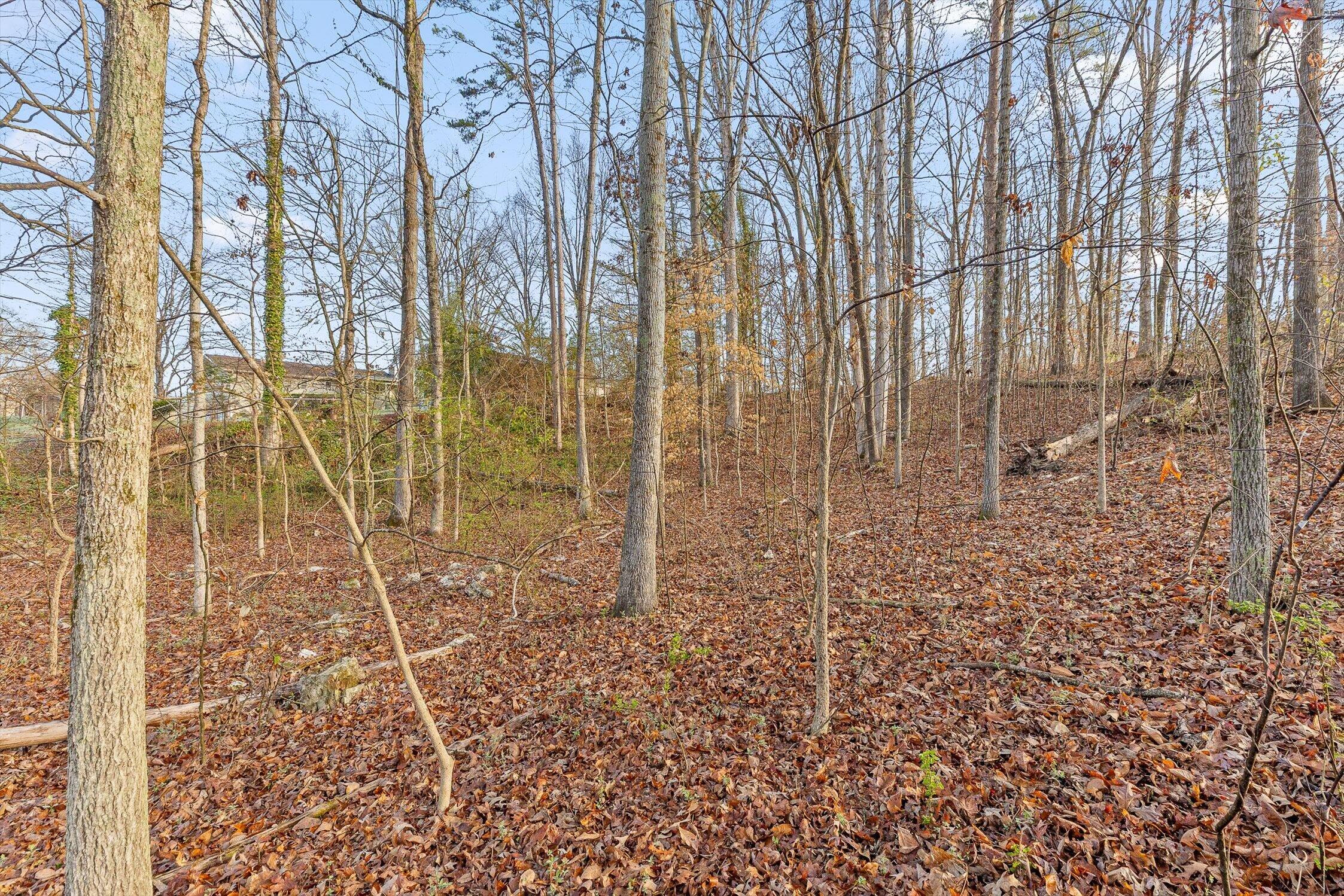 8961 Highway 58 Harrison, TN 37341 - Photo 6 of 13 07-TN 58-7