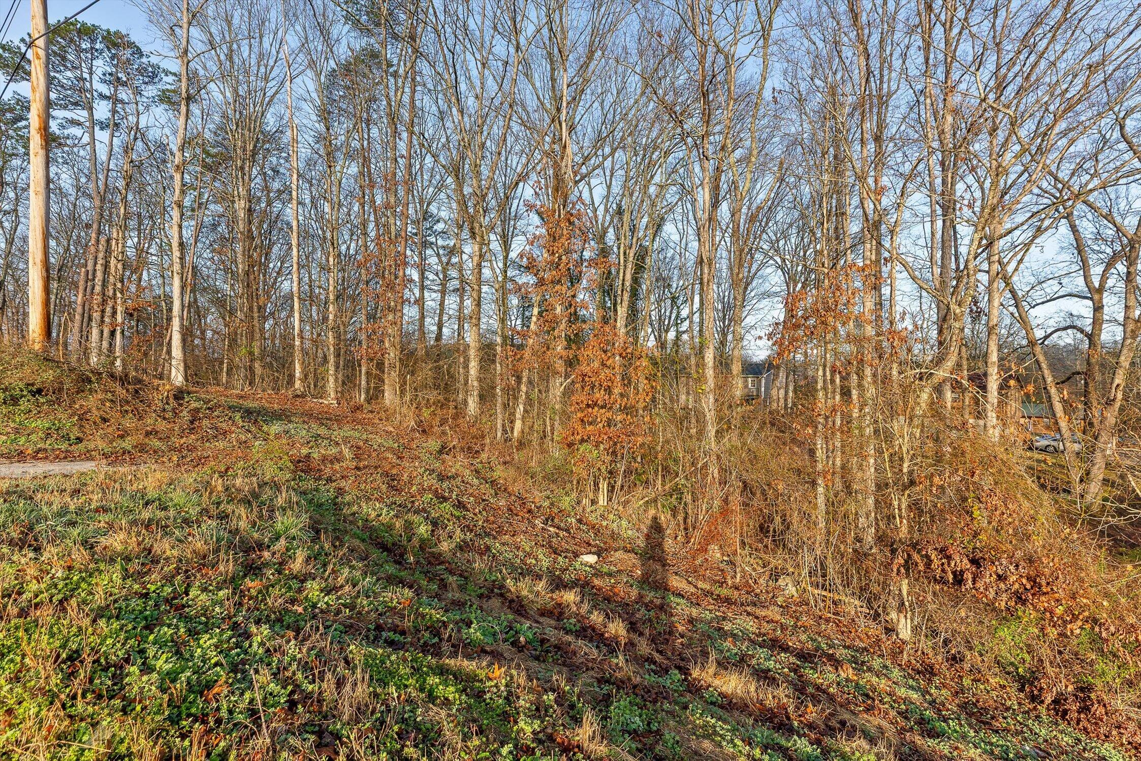 8961 Highway 58 Harrison, TN 37341 - Photo 9 of 13 13-TN 58-13