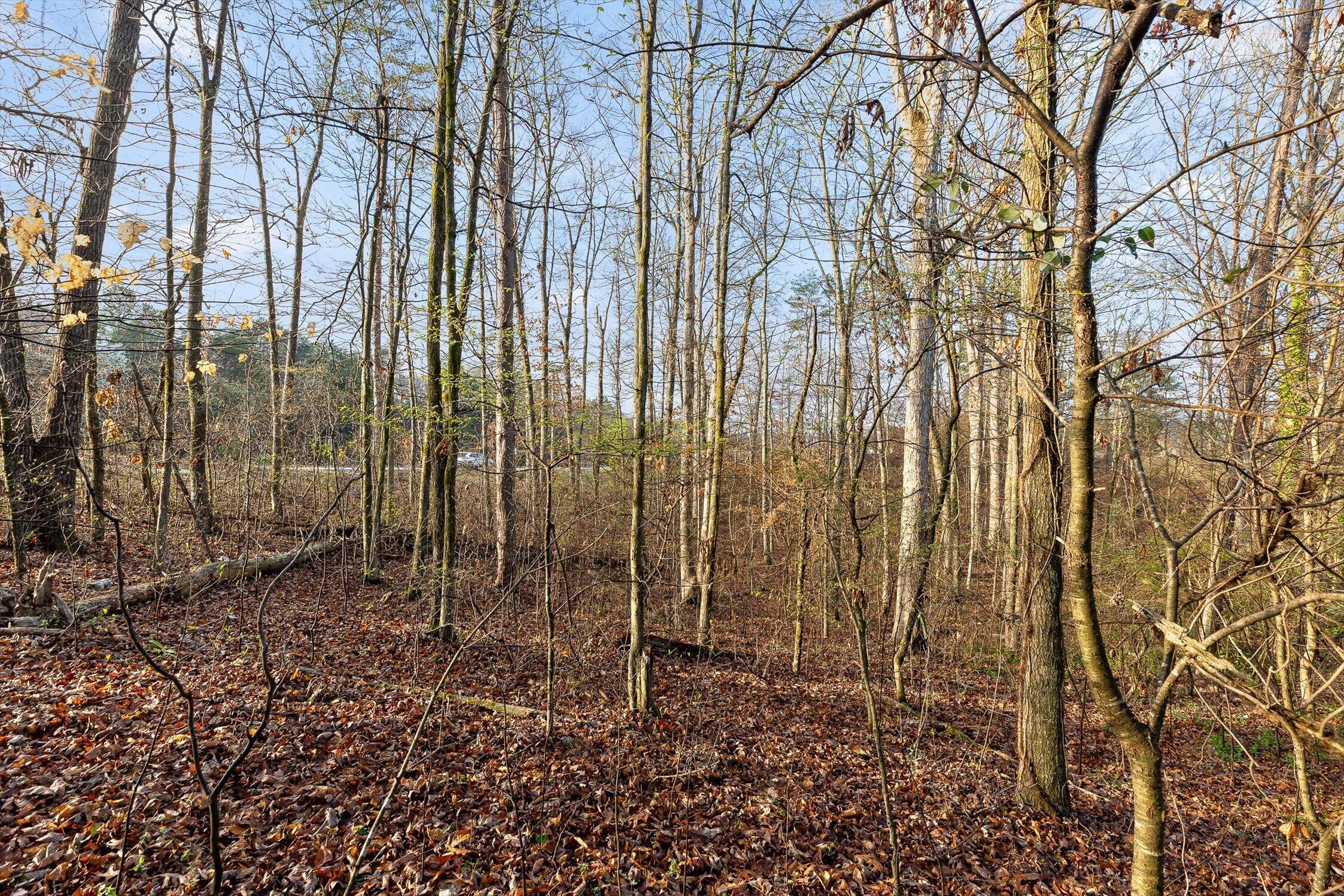 8961 Highway 58 Harrison, TN 37341 - Photo 10 of 13 14-TN 58-14