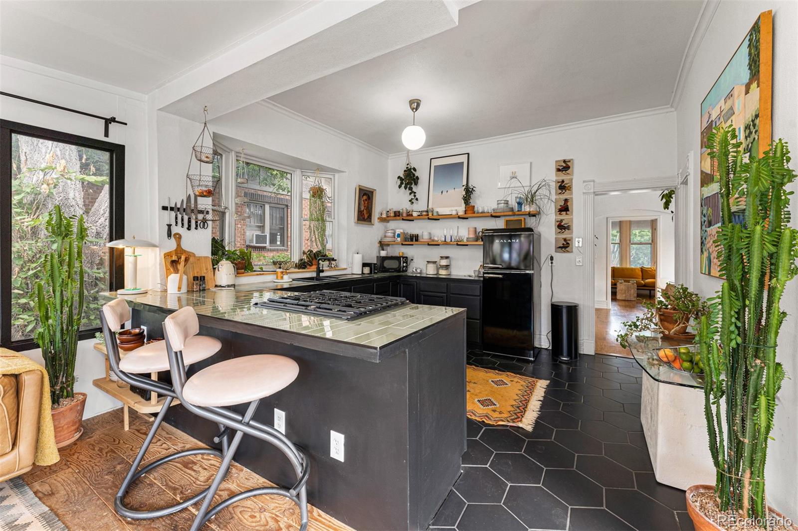 1469 Raleigh Street Denver, CO 80204 - Photo 15 of 40 Gallery Image 15