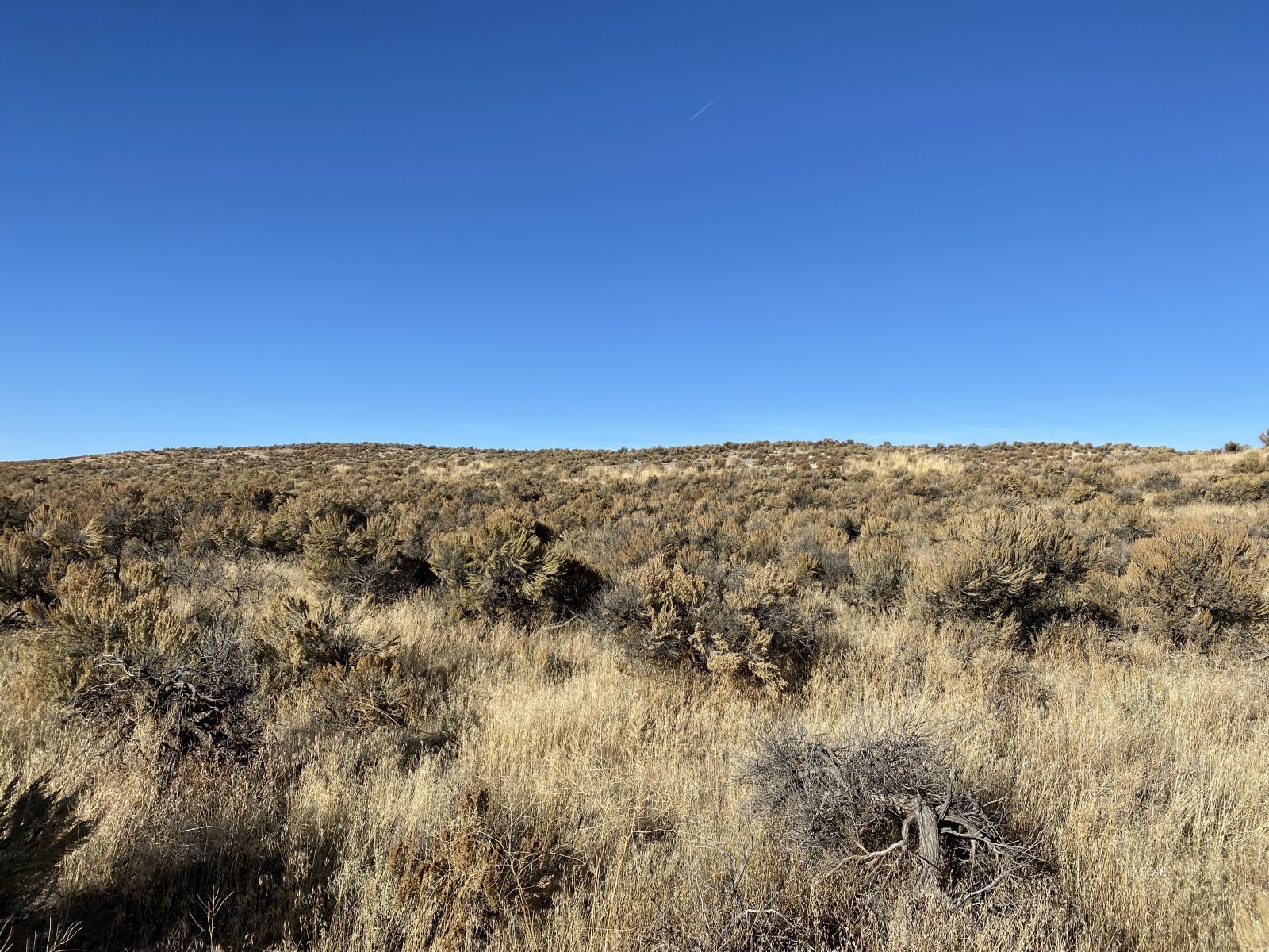 9 Twp 37n Rge 59e Deeth, NV 89823 - Photo 5 of 5