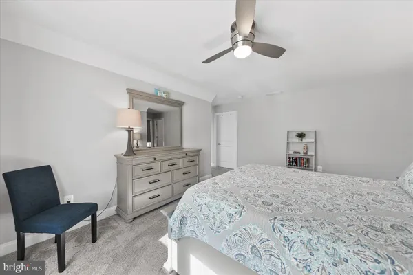 a view of a yard with plants and trees