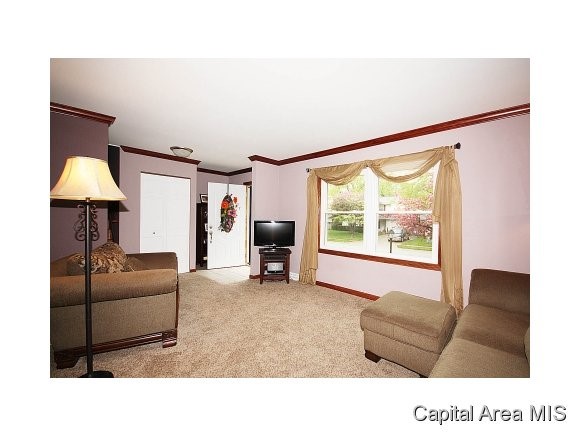 1904 Creighton Road Springfield, IL 62703 - Photo 4 of 22