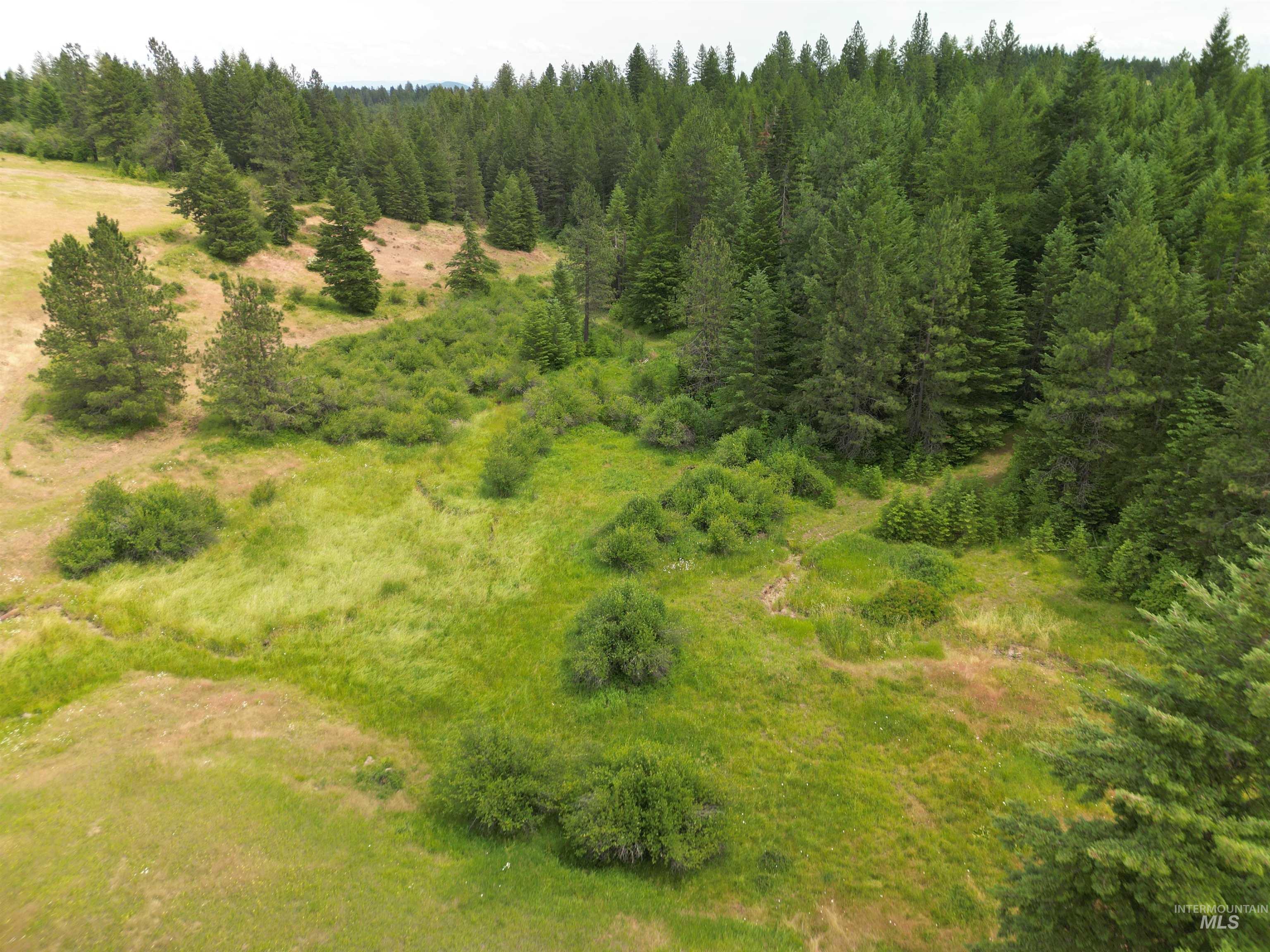 0 Middle Road Lenore, ID 83541 - Photo 32 of 48