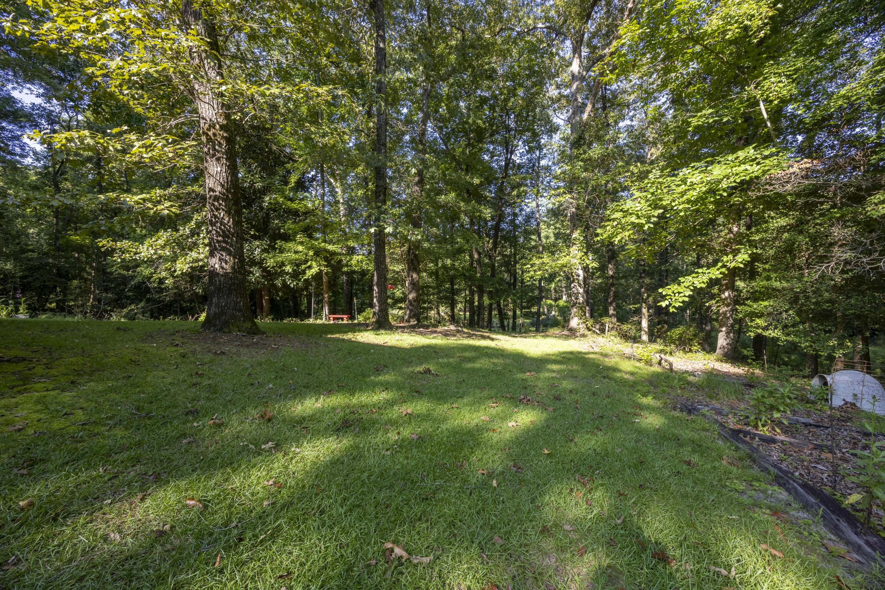 481 Mt Pleasant Road Monetta, SC 29105 - Photo 8 of 47