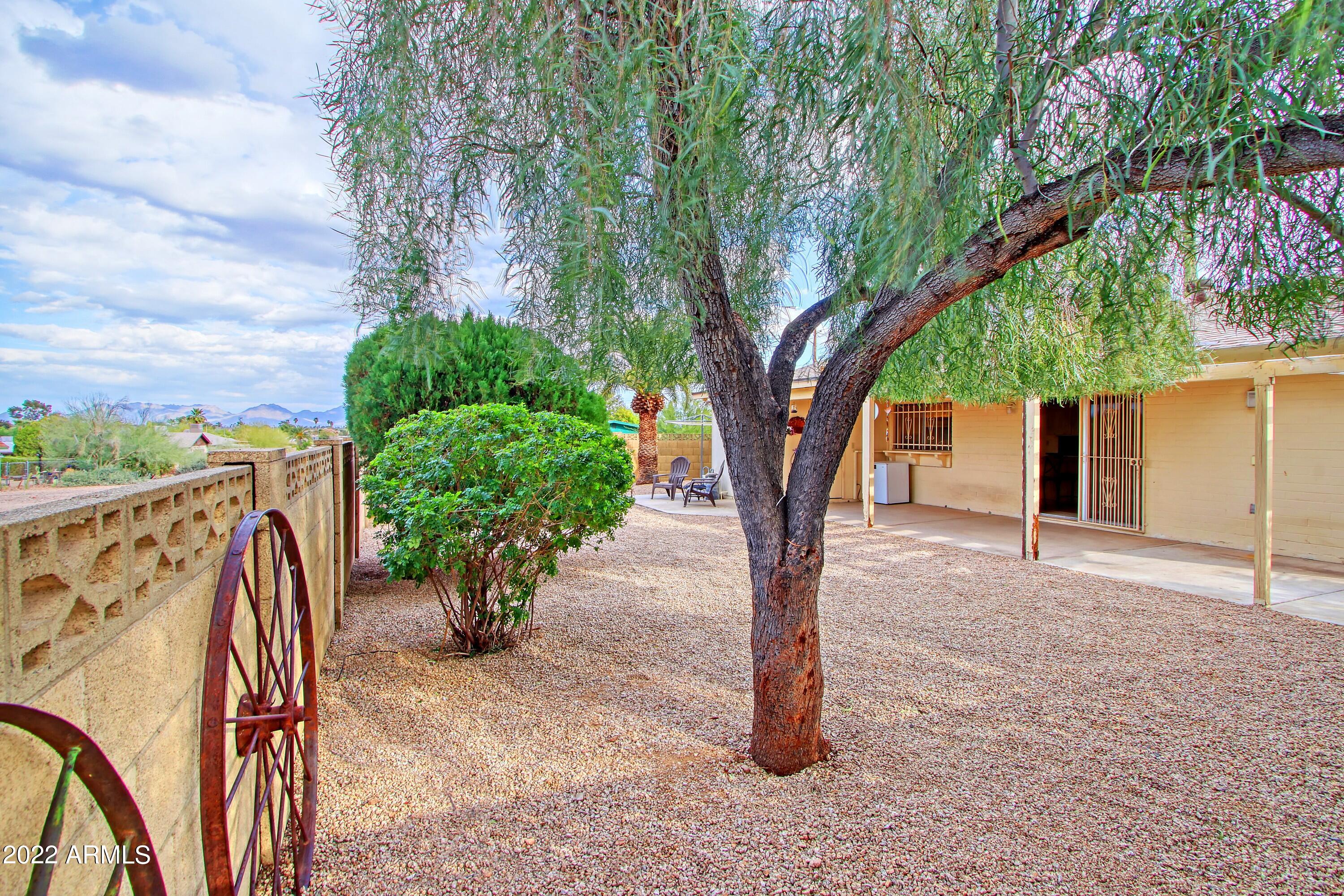 2034 East Greenway Road Phoenix, AZ 85022 - Photo 4 of 45 Backyard 5