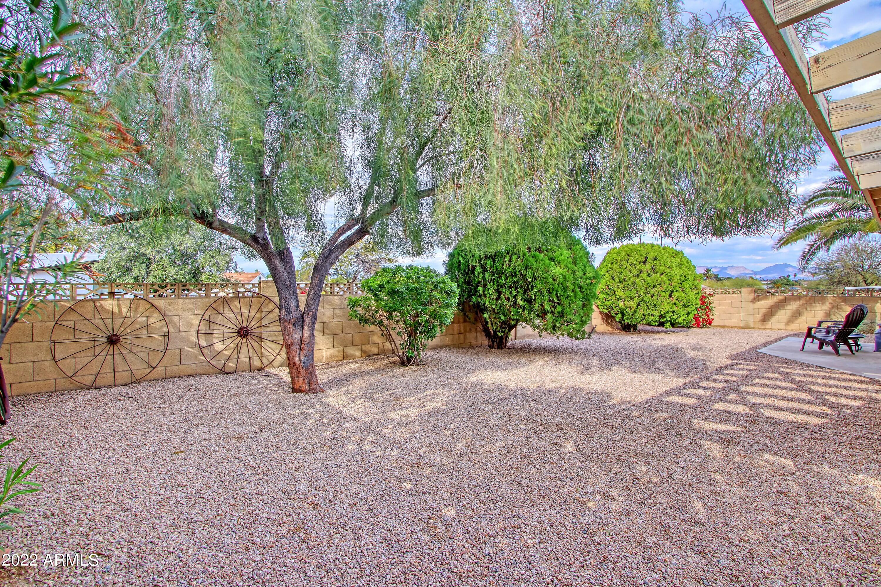 2034 East Greenway Road Phoenix, AZ 85022 - Photo 8 of 45 Backyard 3