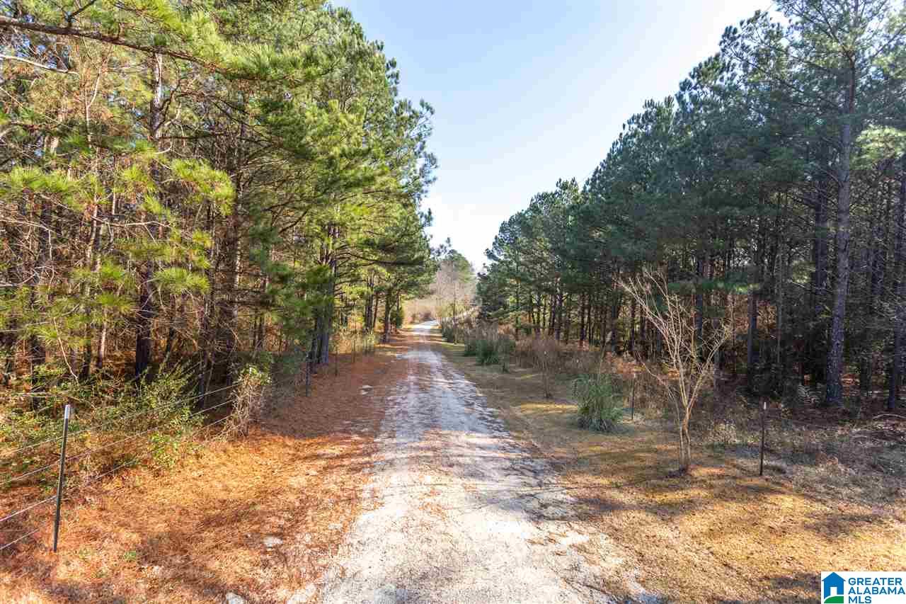355 Foster West Road Jacksonville, AL 36265 - Photo 39 of 48