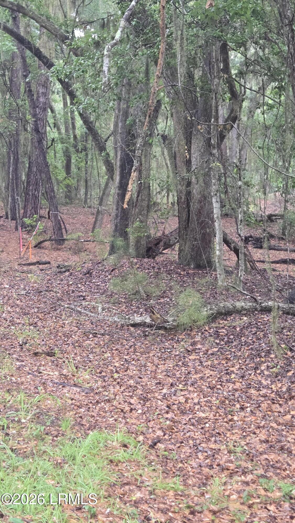386 Brickyard Point Road South Beaufort, SC 29907 - Photo 20 of 21 20260616_164422