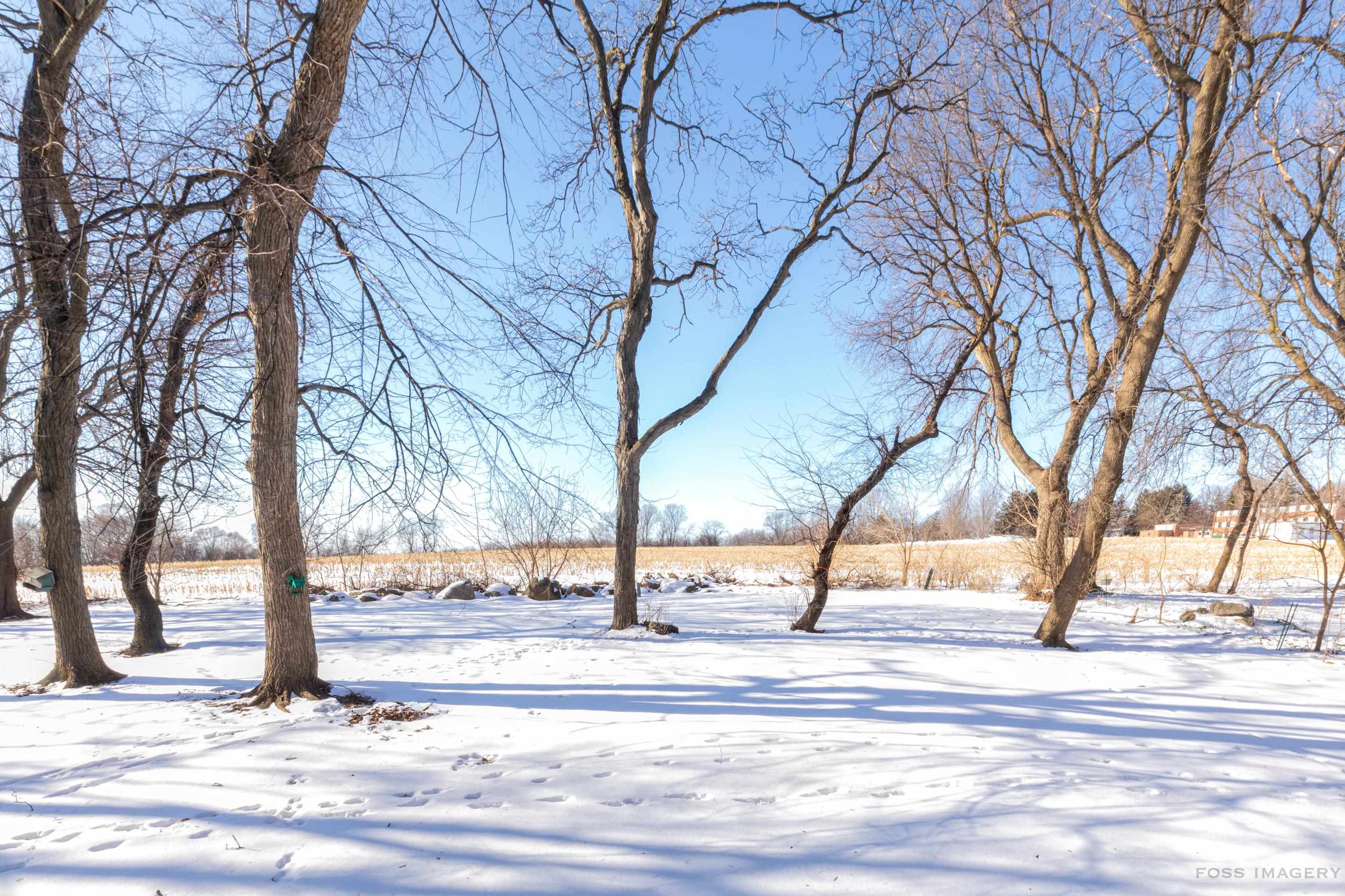 1314 Manassas Trail Madison, WI 53718 - Photo 51 of 52