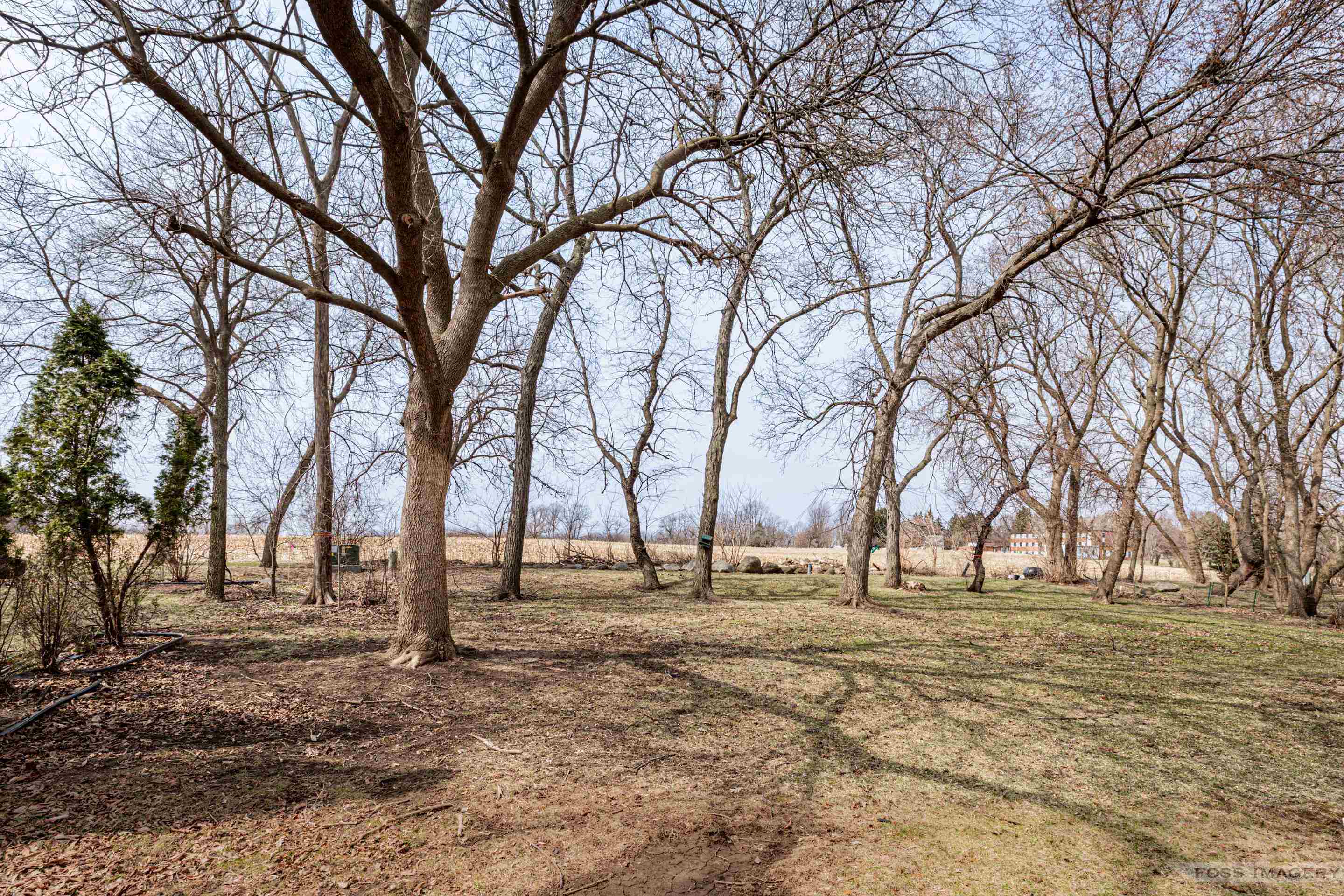 1314 Manassas Trail Madison, WI 53718 - Photo 68 of 69