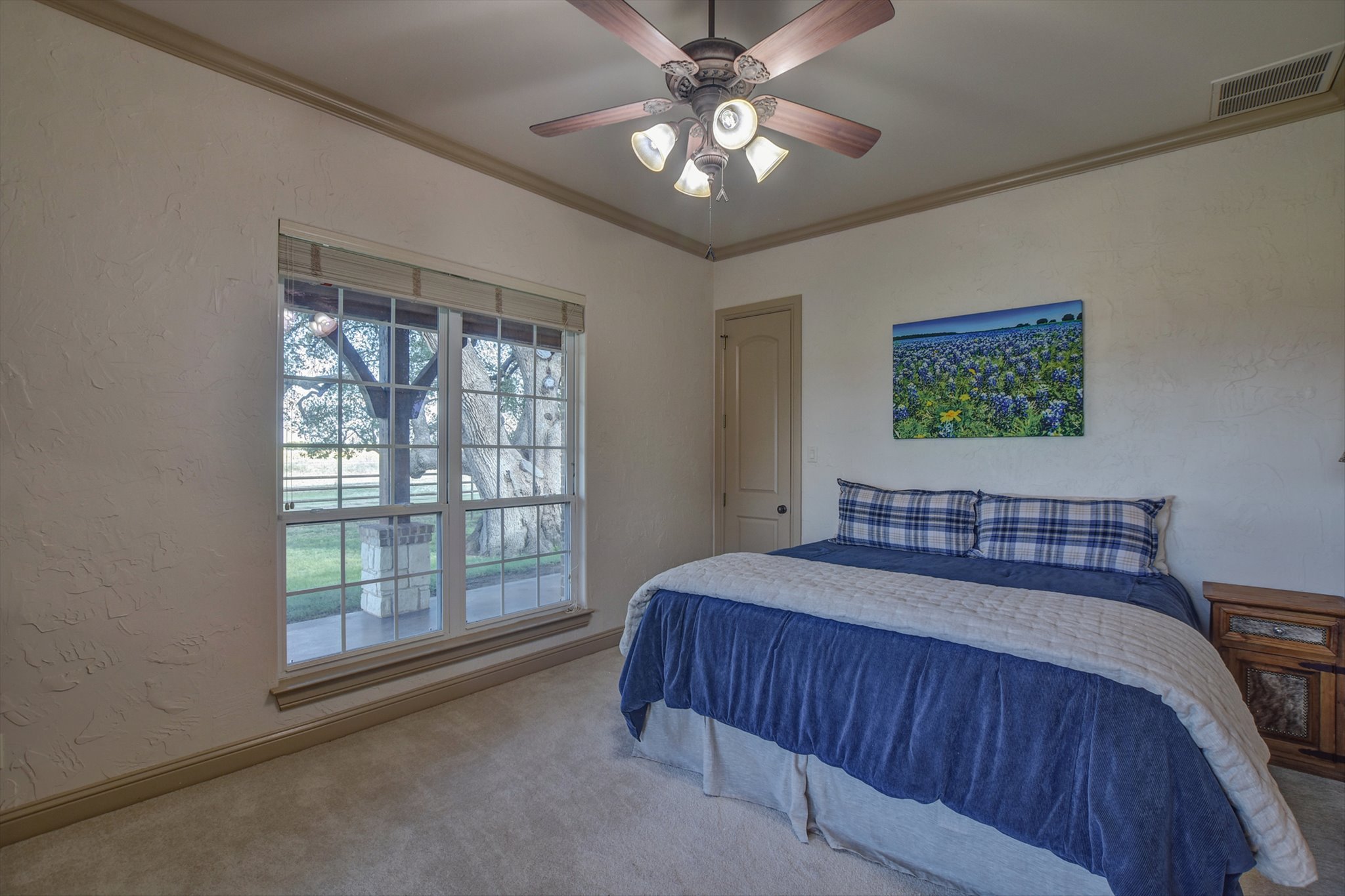18601 County Road 214 Brookesmith, TX 76827 - Photo 15 of 39 Main House: Guest Bedroom featuring crown molding, a textured wall, ceiling fan, and carpet flooring