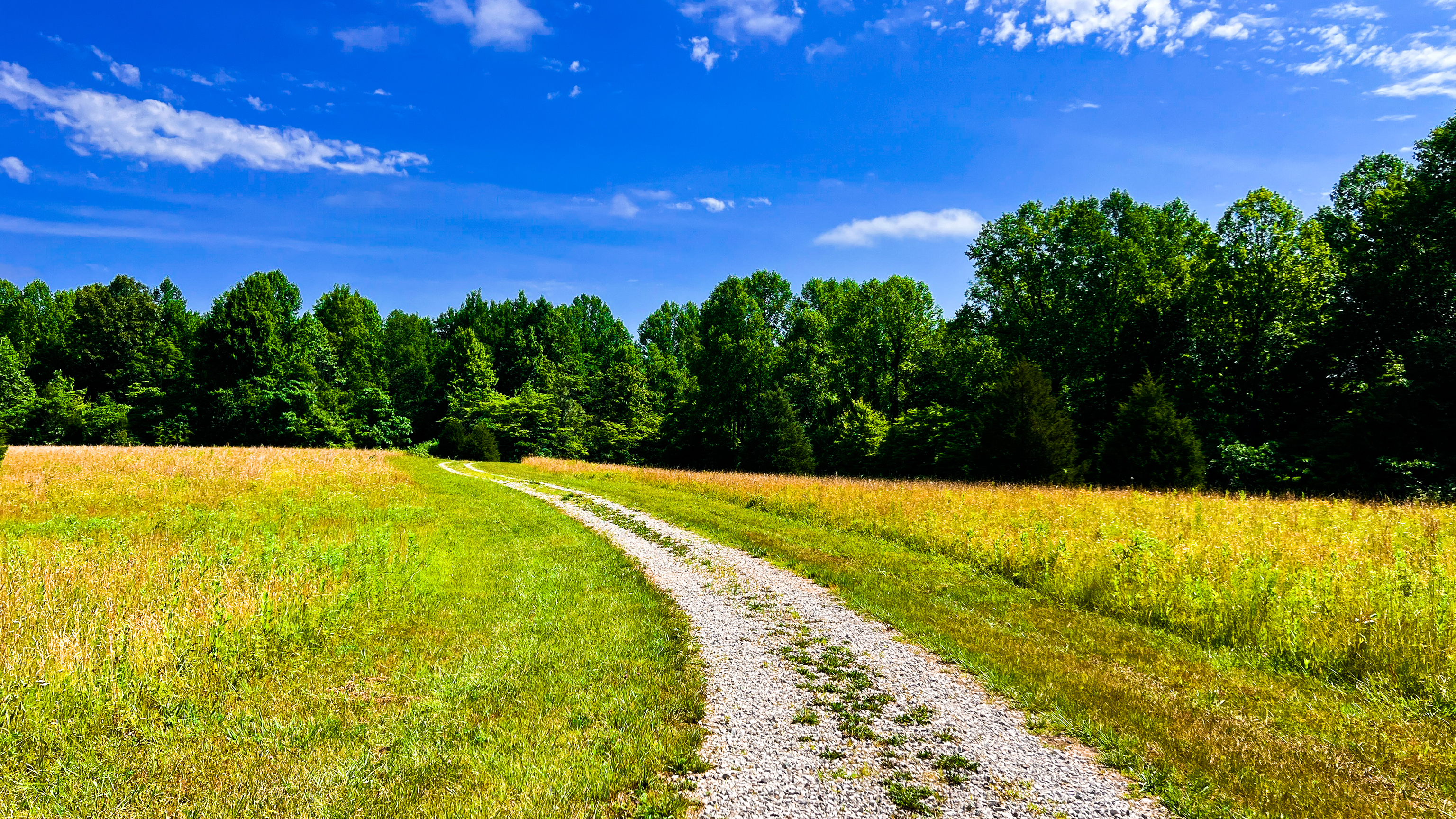 2820 Lucas Road Spencer, IN 47460 - Photo 14 of 28