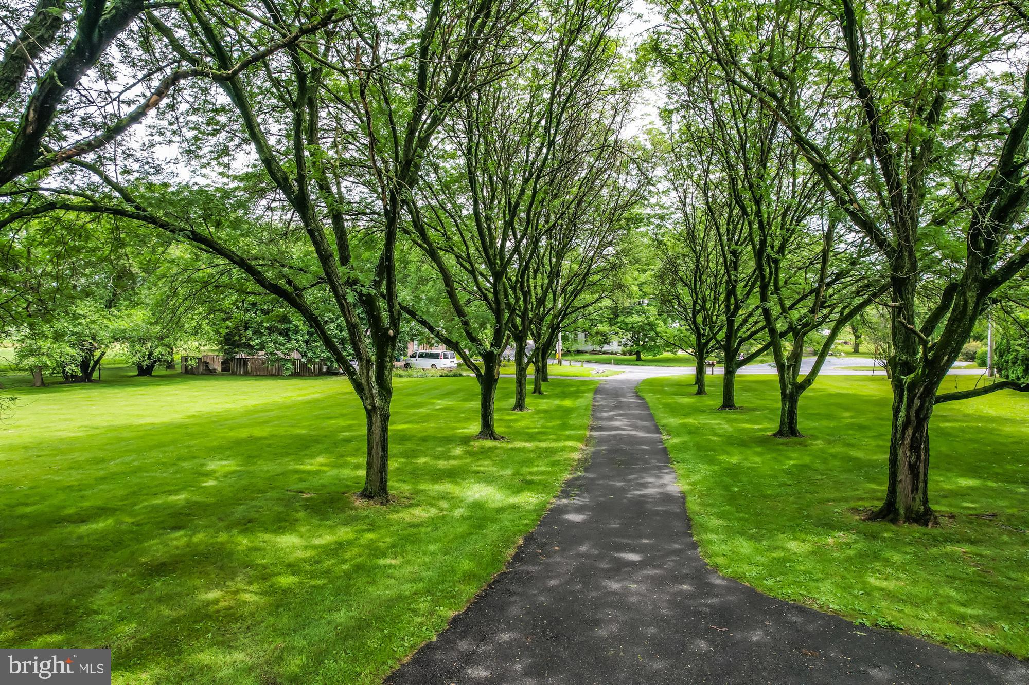 382 North Locust Street Myerstown, PA 17067 - Photo 2 of 60 Tree Lined Driveway