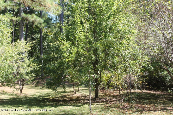 1015 Williams Jasper, AL 35503 - Photo 5 of 29 Gallery Image 5