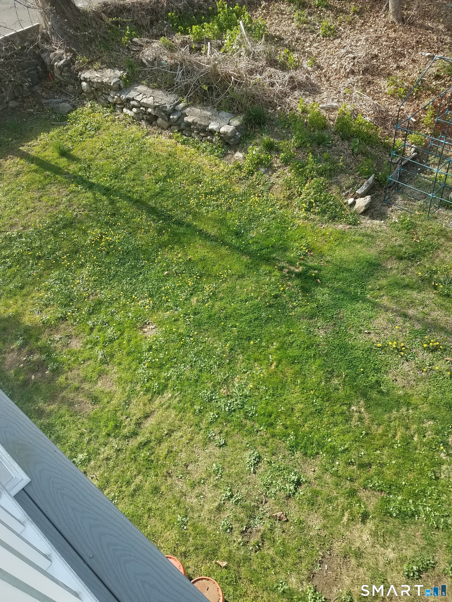 72 Maple Tree Avenue, Unit 2 Stamford, CT 06906 - Photo 28 of 29 Nice grassy area for barbecue.