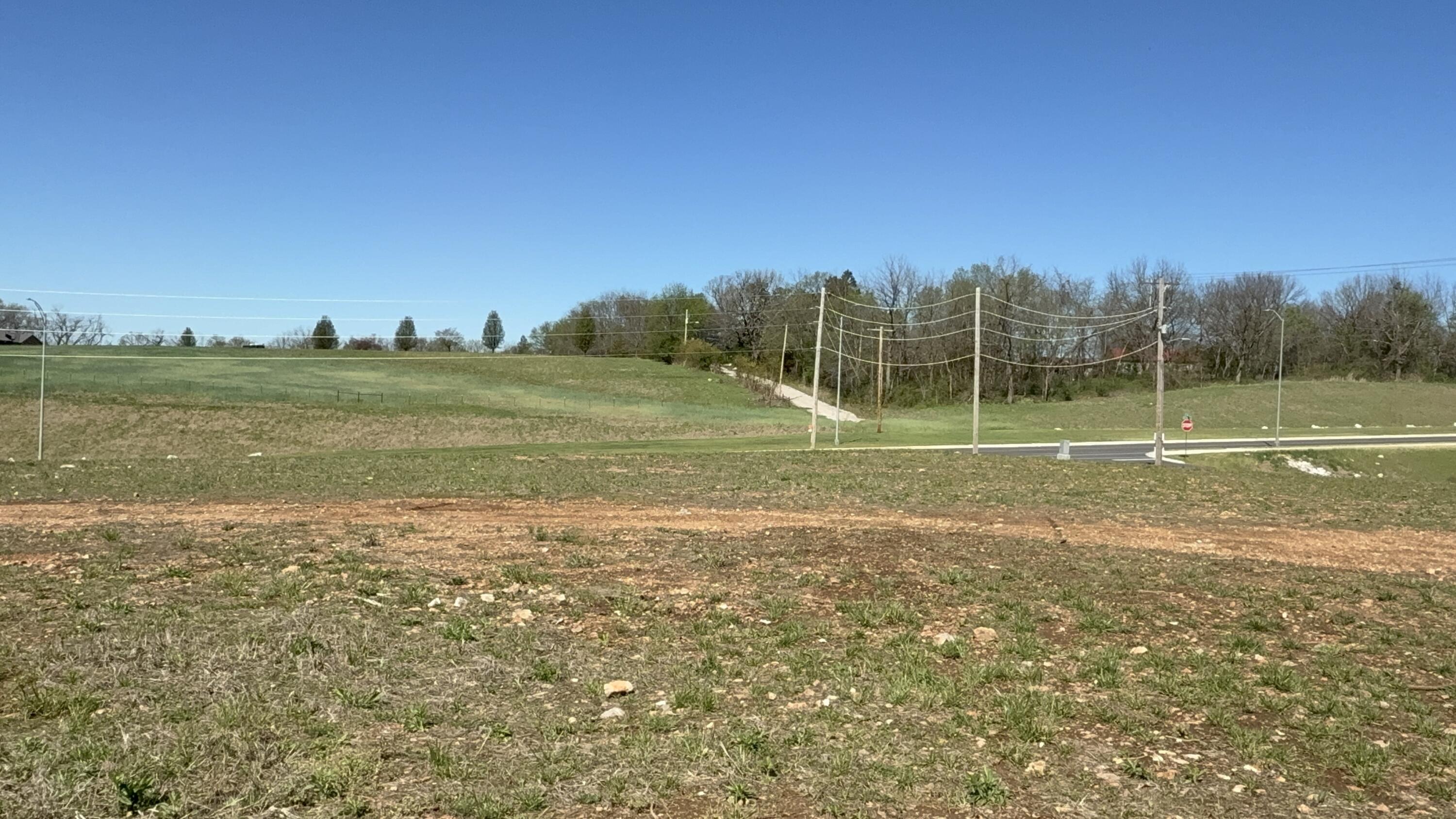 Lot 28 Phase V Springfield, MO 65810 - Photo 1 of 1 IMG_8548