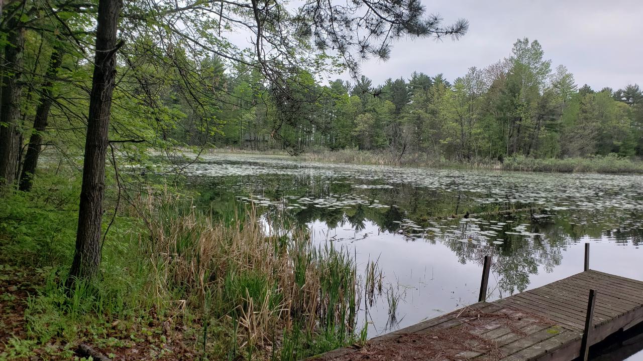 N11762 Deer Lake Road Tomahawk, WI 54487 - Photo 12 of 18 Gallery Image 12