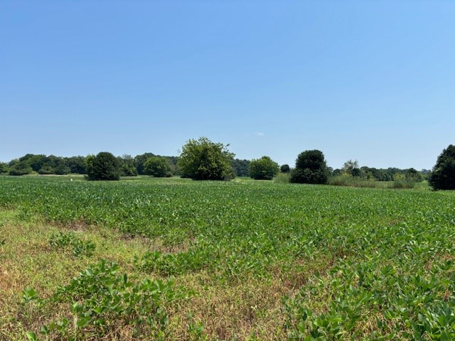 7 T Hungars Point, Unit 7T Machipongo, VA 23405 - Photo 8 of 32 a view of a grassy field with trees