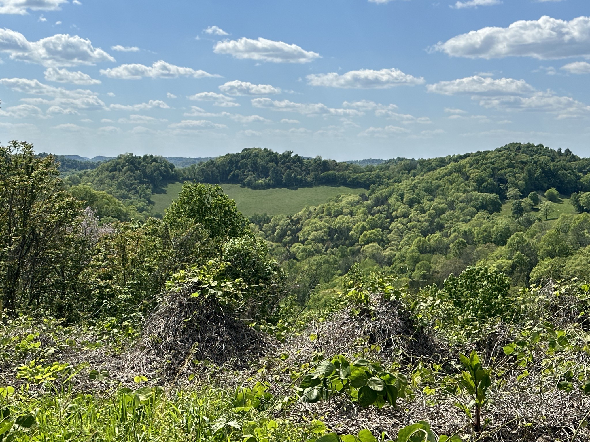 0 Dale Ridge Road Liberty, TN 37095 - Photo 1 of 3 a view of a lake and mountain