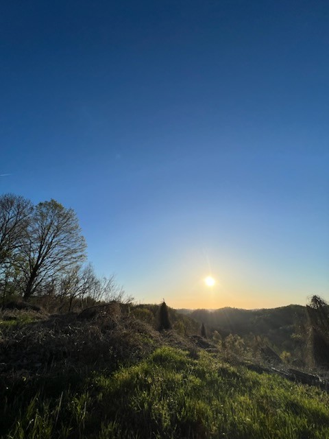0 Dale Ridge Road Liberty, TN 37095 - Photo 3 of 3 a view of a sunset