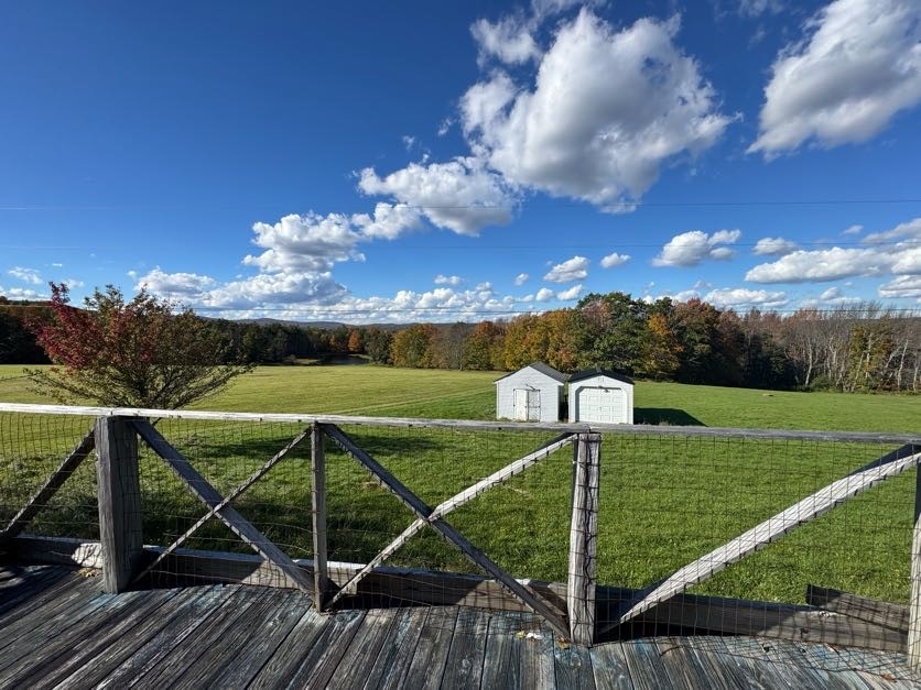 355 Meeghan Road Gilboa, NY 12167 - Photo 26 of 33 Gallery Image 26