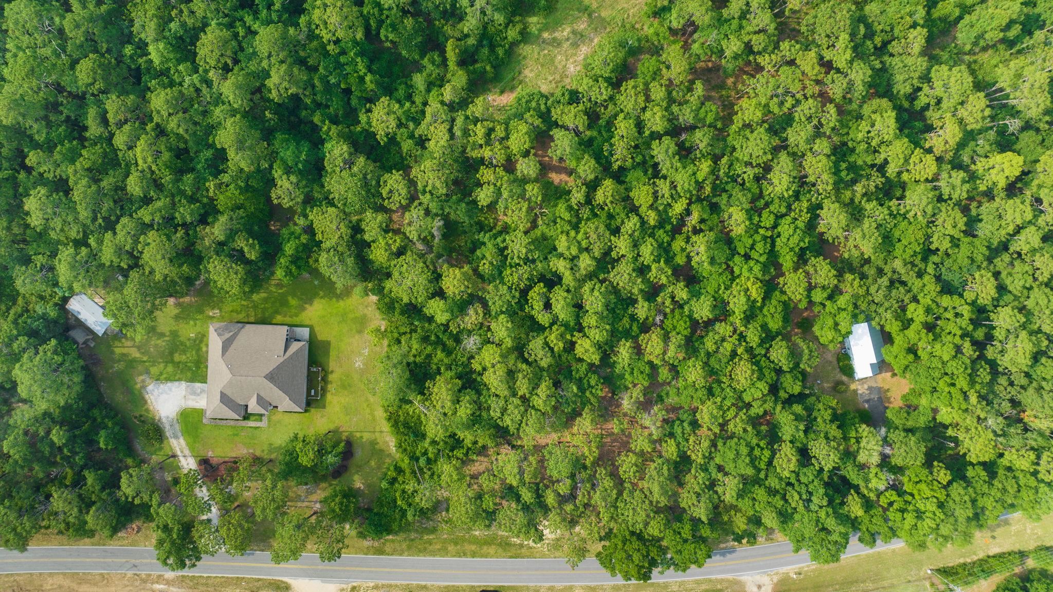 9268 County Road 99 Lillian, AL 36549 - Photo 6 of 11