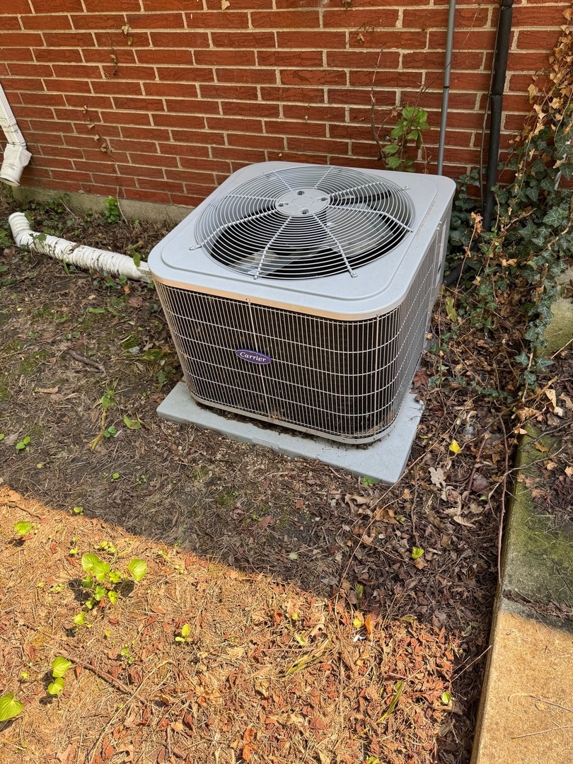 3641 Beech Street Flossmoor, IL 60422 - Photo 19 of 21