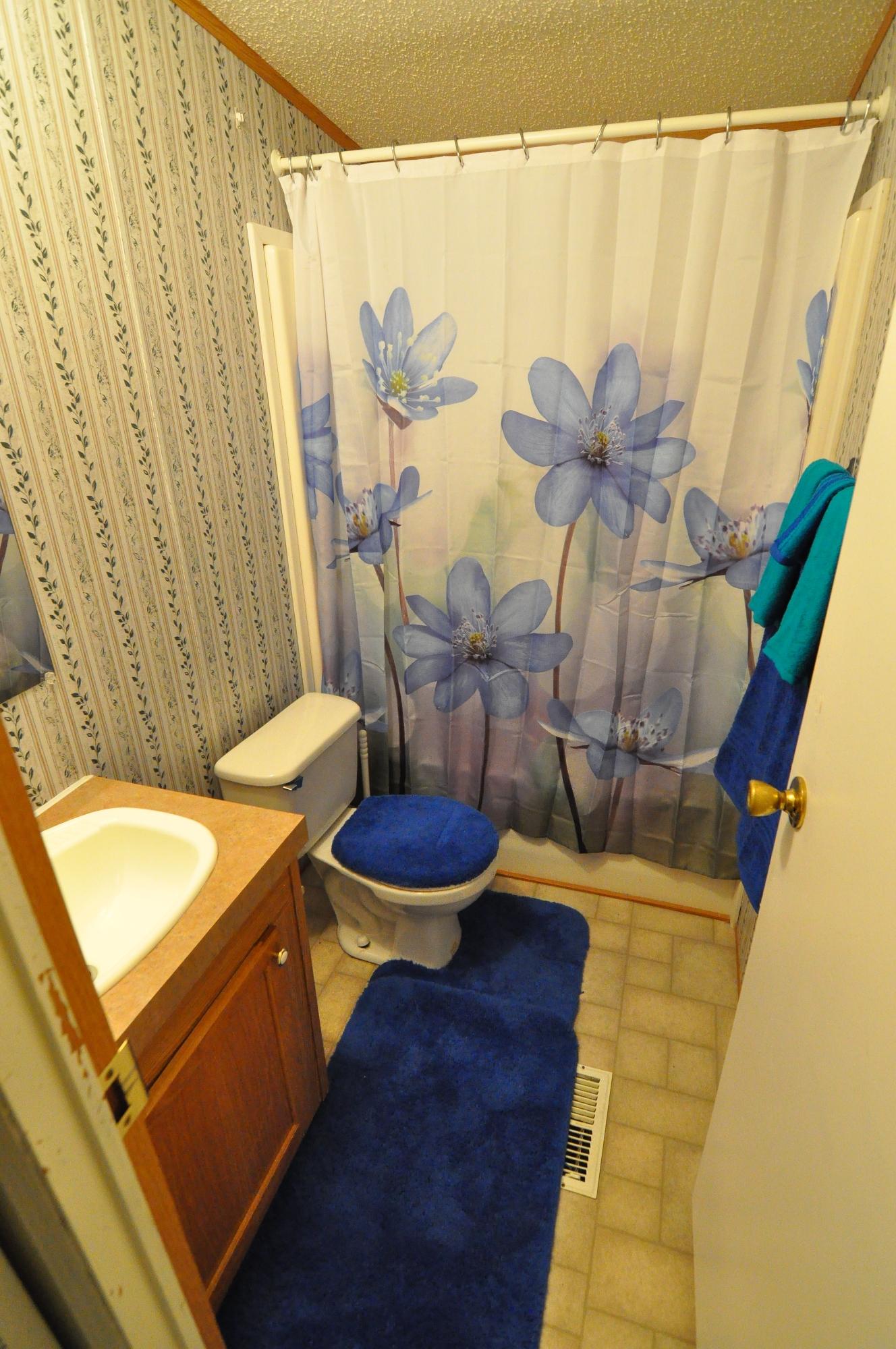 1227 Alleghany Spring Road Shawsville, VA 24162 - Photo 16 of 39 Hall Bath