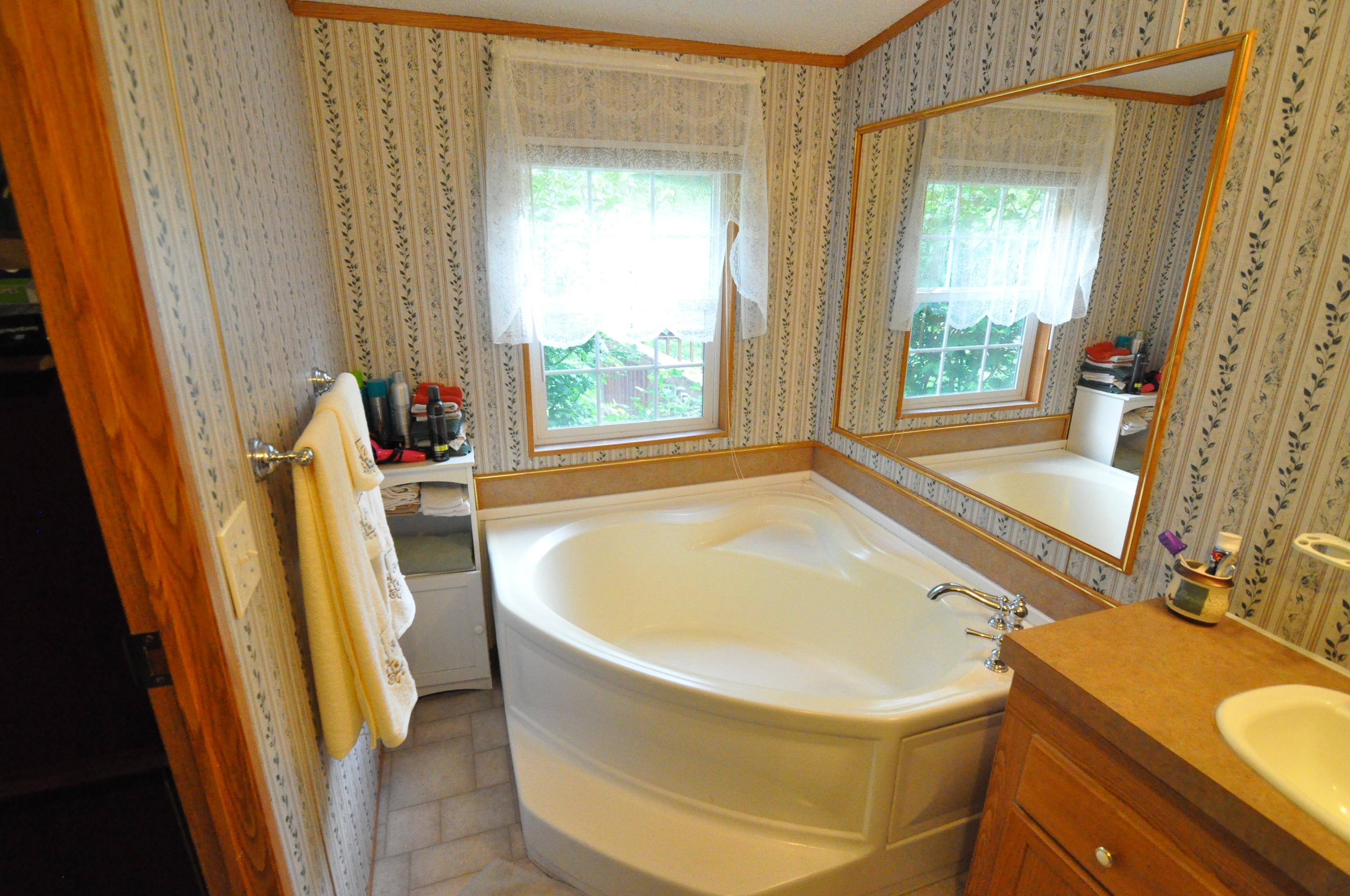 1227 Alleghany Spring Road Shawsville, VA 24162 - Photo 19 of 39 Master Bath