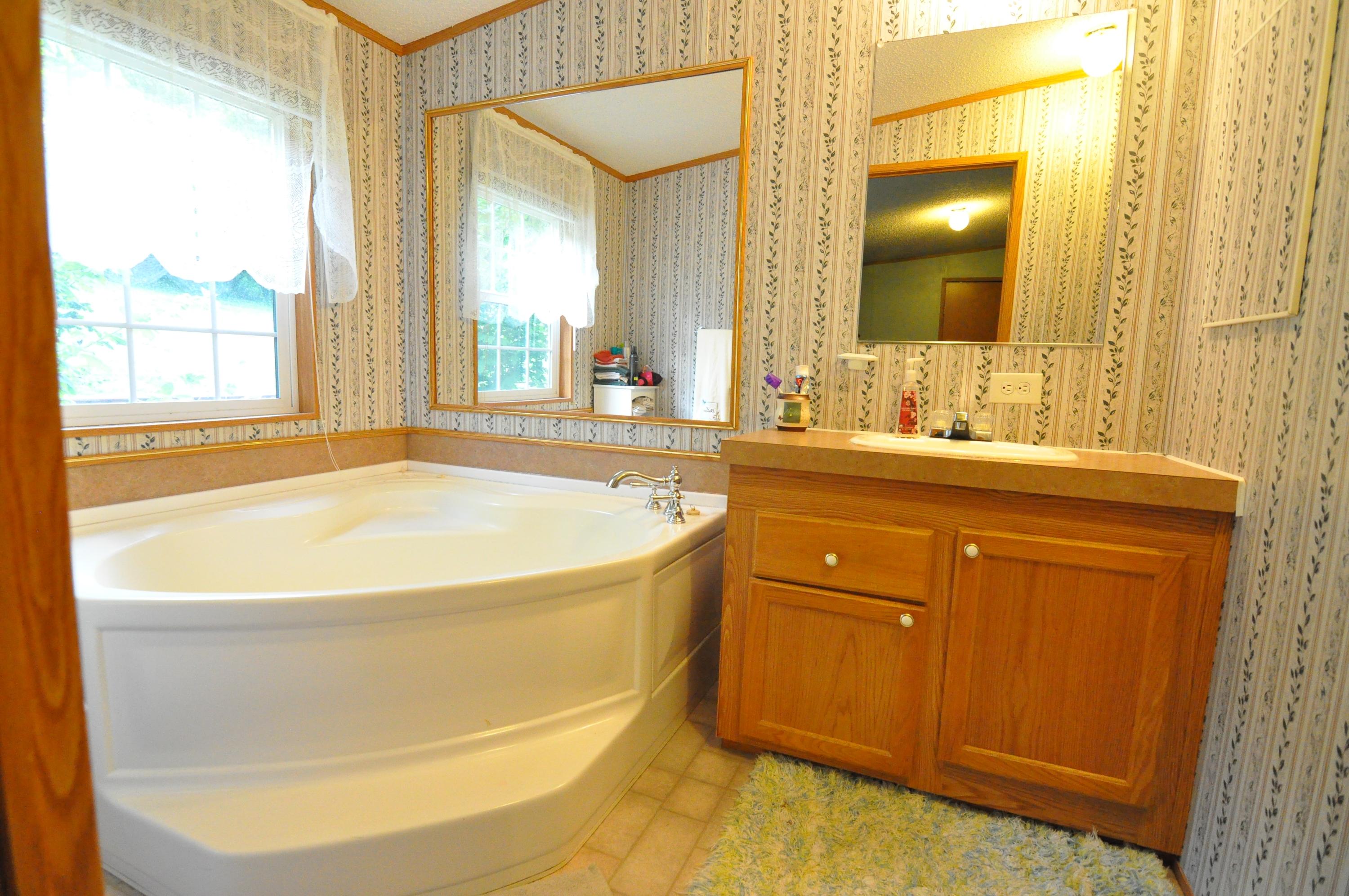 1227 Alleghany Spring Road Shawsville, VA 24162 - Photo 20 of 39 Master Bath 2