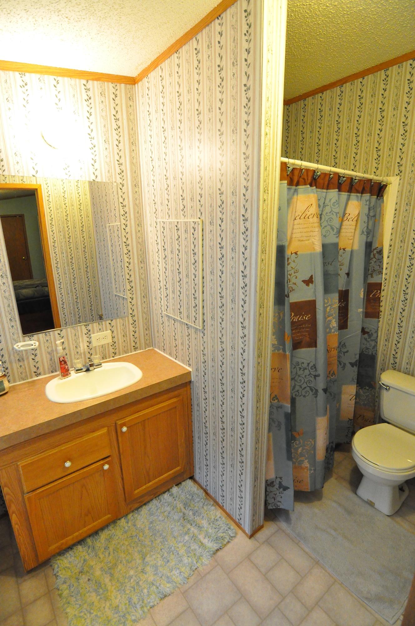 1227 Alleghany Spring Road Shawsville, VA 24162 - Photo 21 of 39 Master Bath