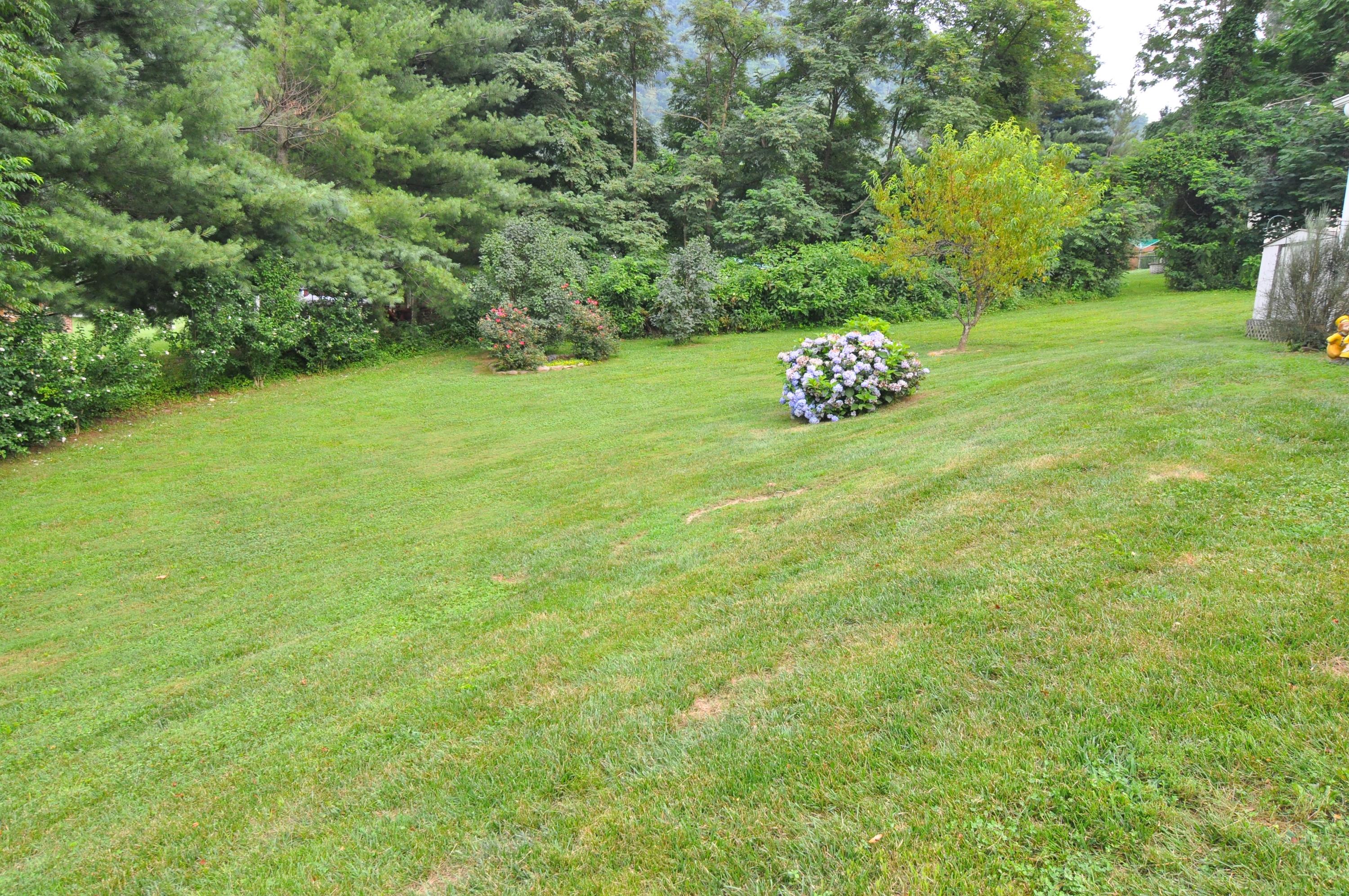 1227 Alleghany Spring Road Shawsville, VA 24162 - Photo 33 of 39 Land view