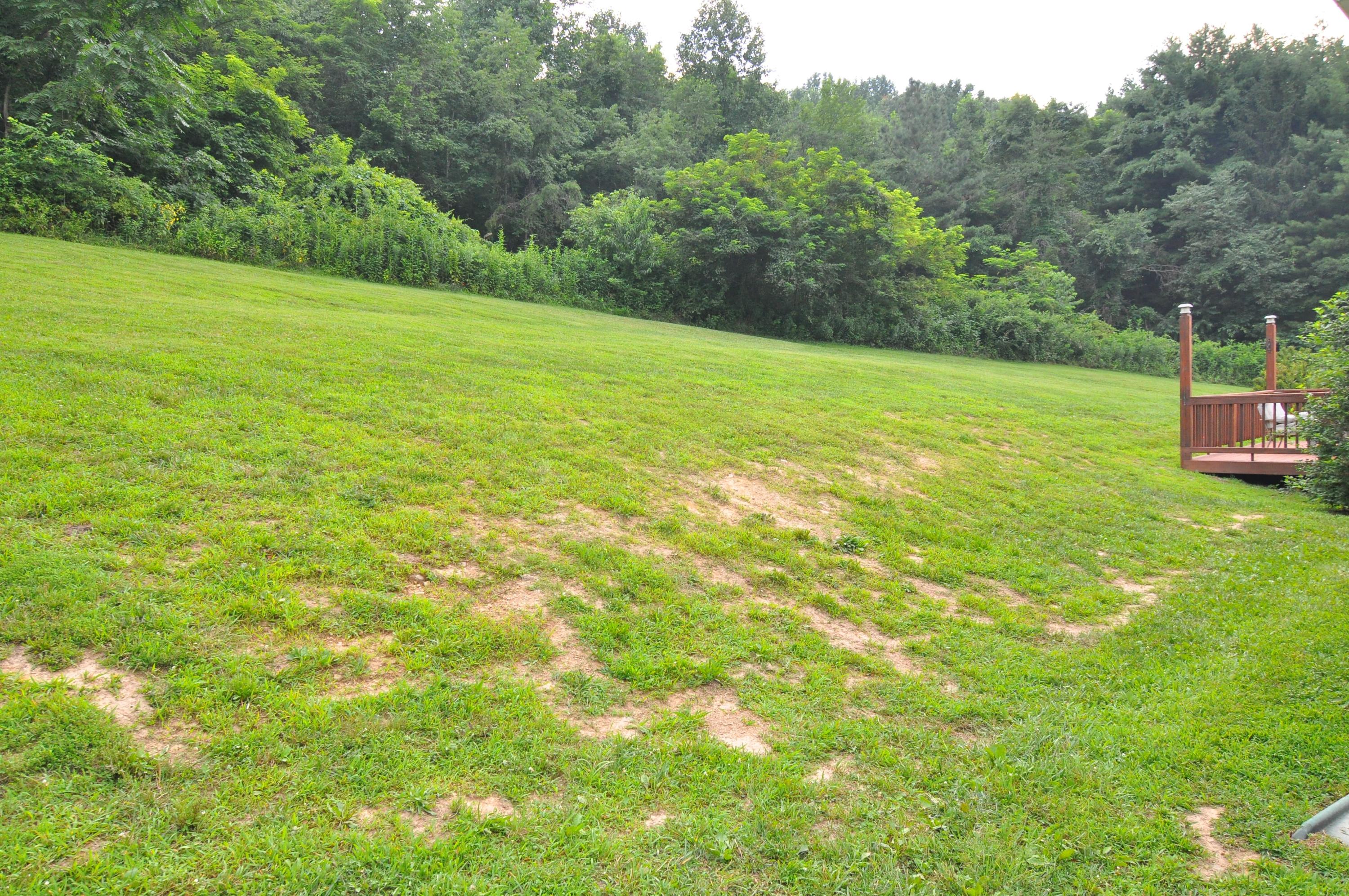 1227 Alleghany Spring Road Shawsville, VA 24162 - Photo 34 of 39 Land