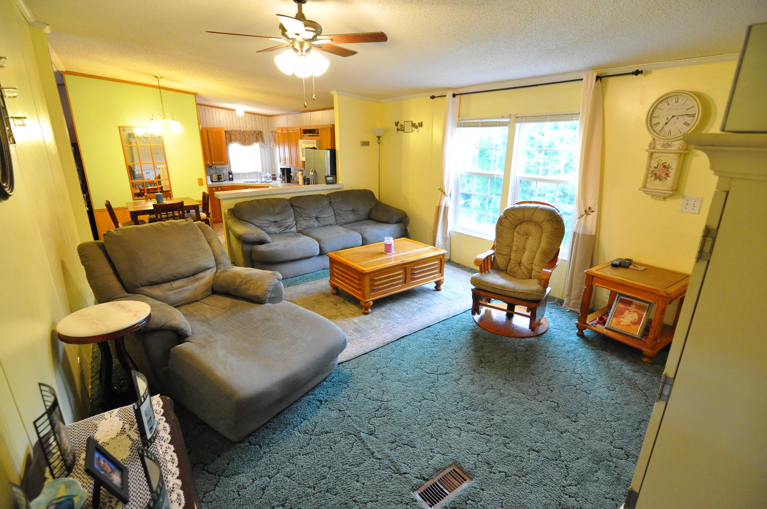 1227 Alleghany Spring Road Shawsville, VA 24162 - Photo 8 of 39 Living Room View