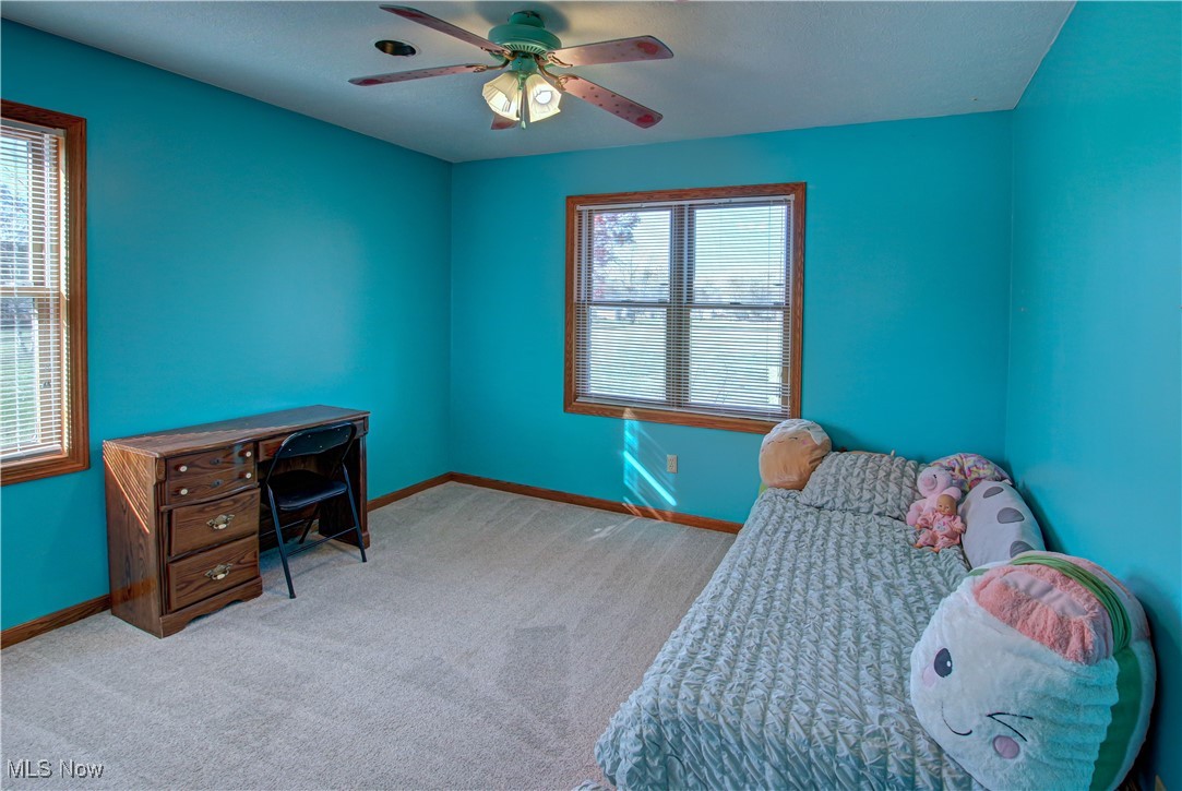 18085 Grill Road Doylestown, OH 44230 - Photo 18 of 50 Gallery Image 18
