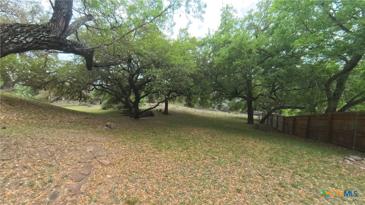 929 Red Bluff Ranch Road Pipe Creek, TX 78063 - Photo 29 of 39 a view of a tree next to a yard
