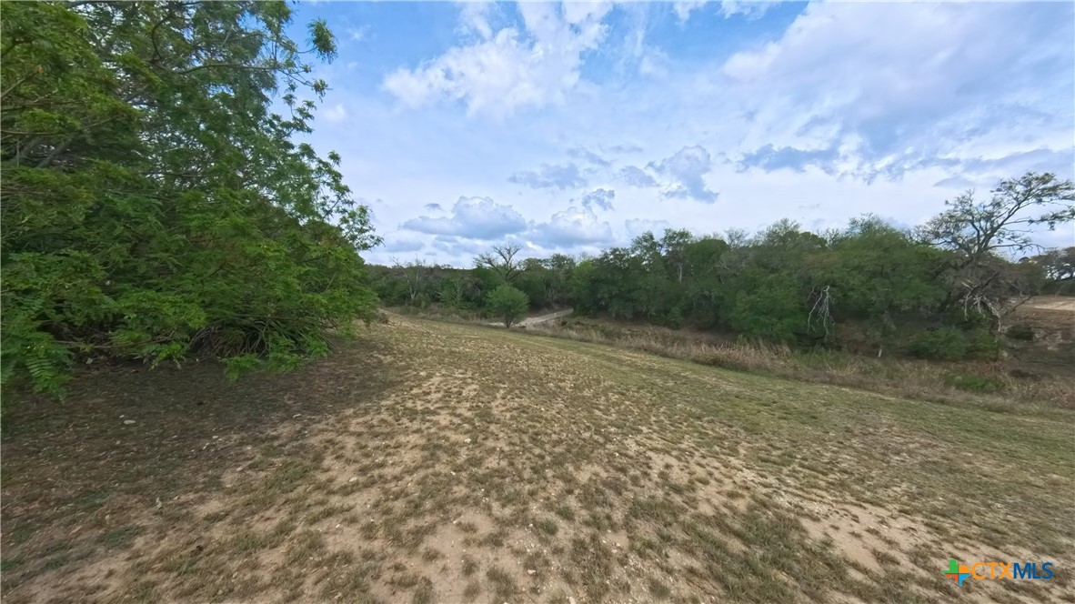 929 Red Bluff Ranch Road Pipe Creek, TX 78063 - Photo 33 of 39 a view of a field with trees in background