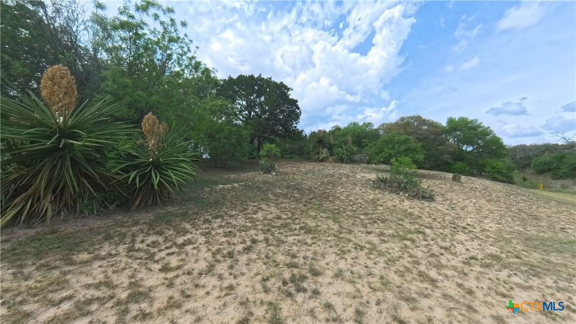 929 Red Bluff Ranch Road Pipe Creek, TX 78063 - Photo 35 of 39 a view of a yard with plants and a trees