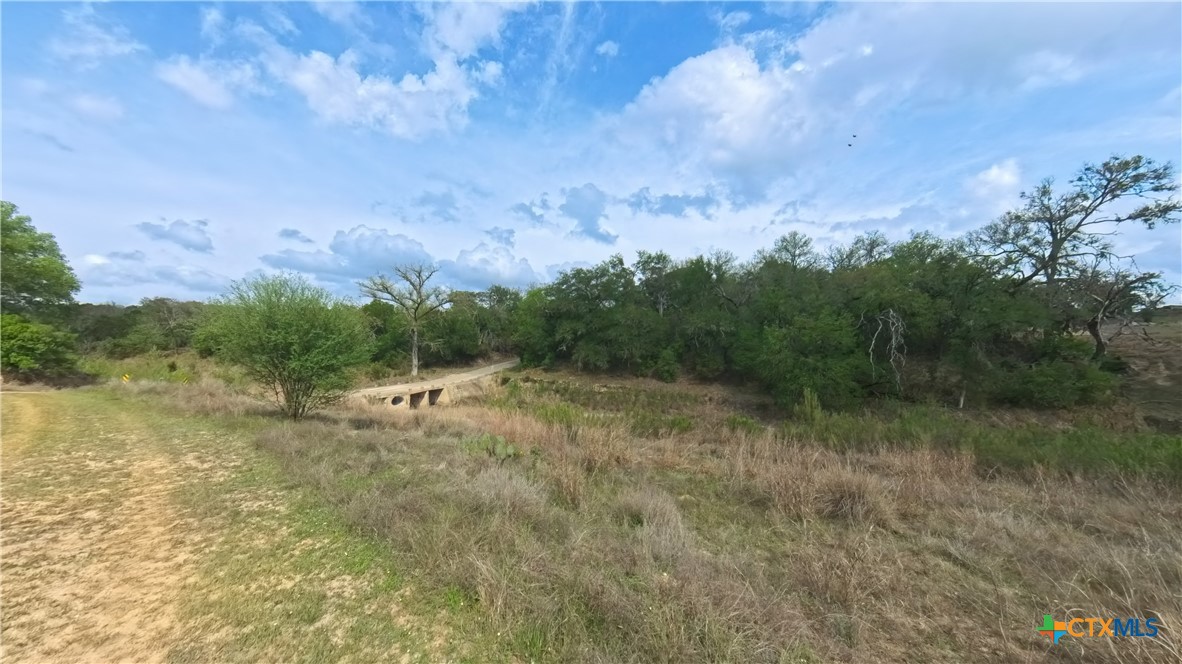 929 Red Bluff Ranch Road Pipe Creek, TX 78063 - Photo 37 of 39 a view of a field with trees in the background